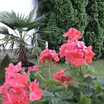 Anna Vendeghaz Bed & Breakfast Szeged