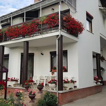 Bed & Breakfast Anna Vendeghaz Segedín