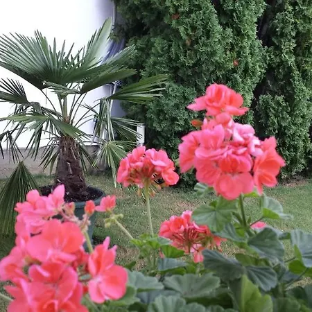 Anna Vendeghaz Bed & Breakfast Szeged